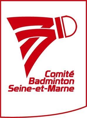 🏸 TDJ – Le badminton des jeunes en compétition ! 🏆
